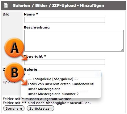 basic.life Medien / Galerien / ZIP-Upload © echonet