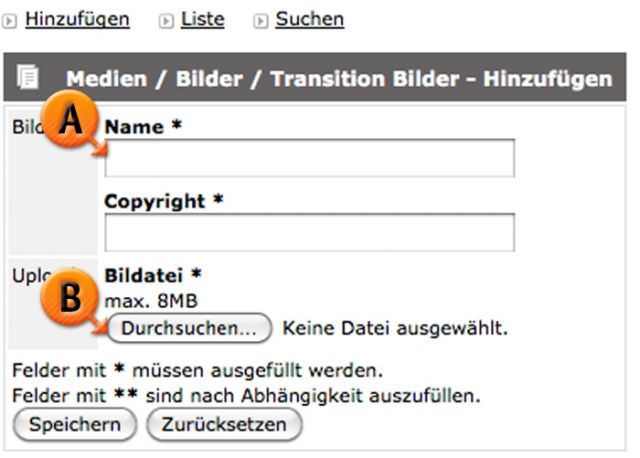Zusatzdatenbank: Medien / Bilder / Transitions Bilder © echonet communication GmbH